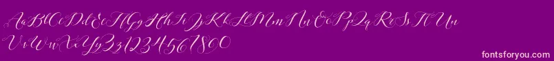 Laurence Script DEMO Font – Pink Fonts on Purple Background