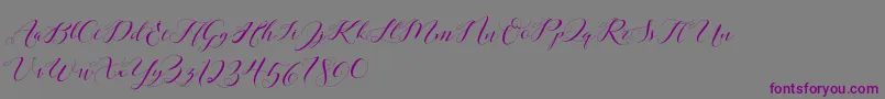 フォントLaurence Script DEMO – 紫色のフォント、灰色の背景