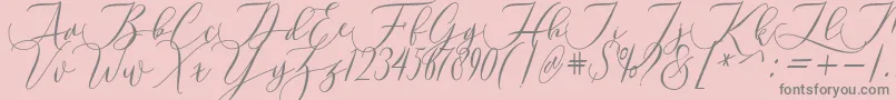 Laurretta Font – Gray Fonts on Pink Background