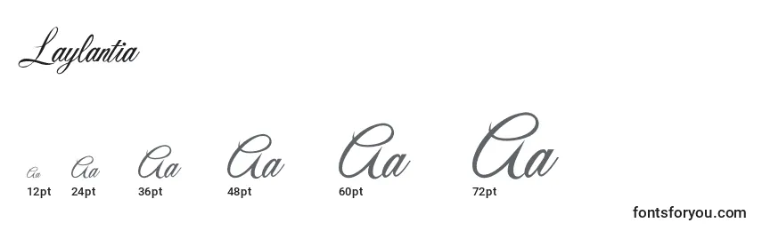 Laylantia Font Sizes