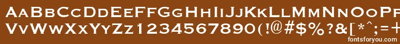 GraverplateBold Font – White Fonts on Brown Background