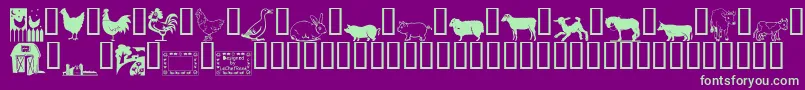 LCR On the Farm-fontti – vihreät fontit violetilla taustalla