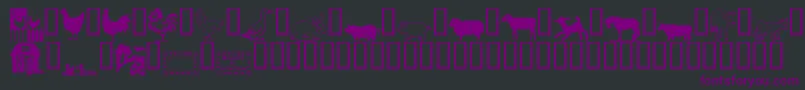 Шрифт LCR On the Farm – фиолетовые шрифты на чёрном фоне