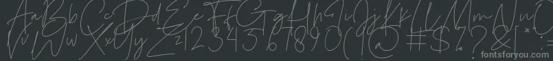 フォントLe Festin – 黒い背景に灰色の文字