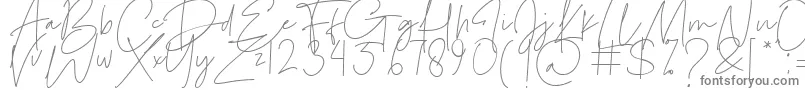 Шрифт Le Festin – серые шрифты на белом фоне