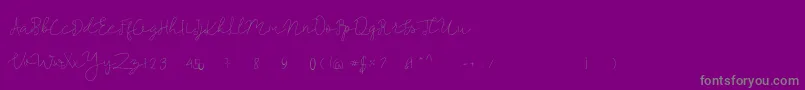 Le French-Schriftart – Graue Schriften auf violettem Hintergrund