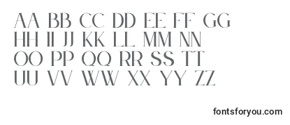 Review of the Le Jour Serif Font