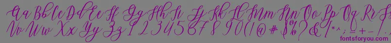 Leadent Script-Schriftart – Violette Schriften auf grauem Hintergrund