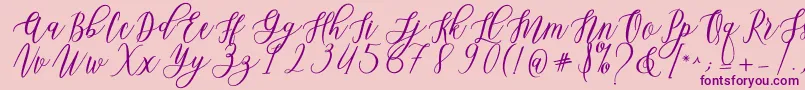 Leadent Script-Schriftart – Violette Schriften auf rosa Hintergrund