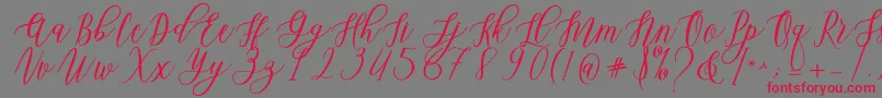 Czcionka Leadent Script – czerwone czcionki na szarym tle