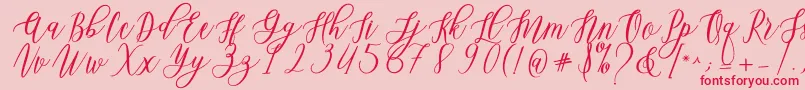 Leadent Script Font – Red Fonts on Pink Background