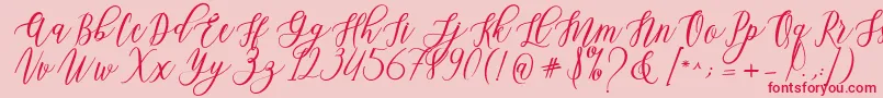 Leadent Script Font – Red Fonts on Pink Background