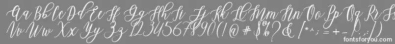 Leadent Script-Schriftart – Weiße Schriften auf grauem Hintergrund