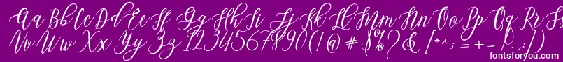 Leadent Script Font – White Fonts on Purple Background