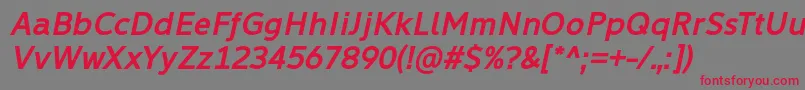 Learn Share Colaborate Bold Italic Font by Situjuh 7NTypes Font – Red Fonts on Gray Background