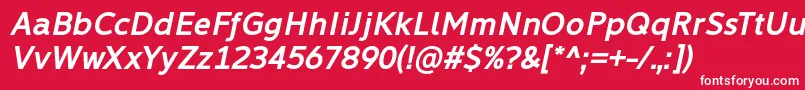 Learn Share Colaborate Bold Italic Font by Situjuh 7NTypes Font – White Fonts on Red Background
