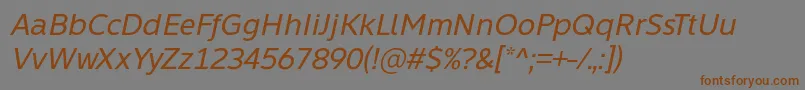 Learn Share Colaborate Italic Font by Situjuh 7NTypes Font – Brown Fonts on Gray Background