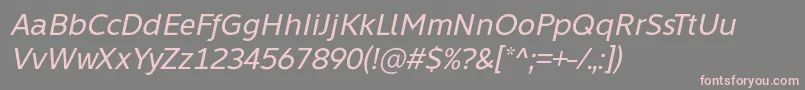 Learn Share Colaborate Italic Font by Situjuh 7NTypes Font – Pink Fonts on Gray Background