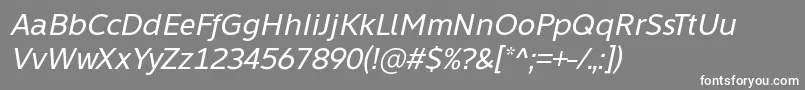 Learn Share Colaborate Italic Font by Situjuh 7NTypes-Schriftart – Weiße Schriften auf grauem Hintergrund