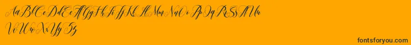 Police leather – polices noires sur fond orange