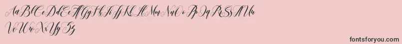 leather Font – Black Fonts on Pink Background