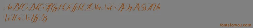 fuente leather – Fuentes Marrones Sobre Fondo Gris