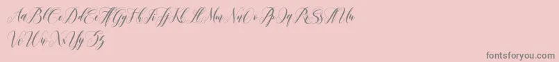 leather Font – Gray Fonts on Pink Background