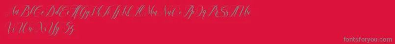 フォントleather – 赤い背景に灰色の文字