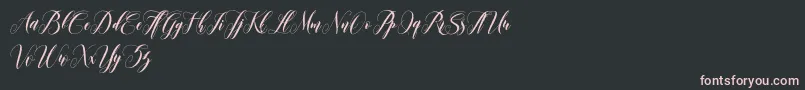 leather Font – Pink Fonts on Black Background