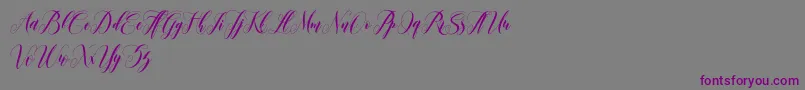 leather Font – Purple Fonts on Gray Background