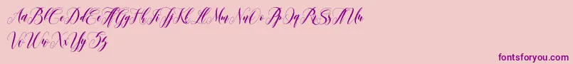 Police leather – polices violettes sur fond rose