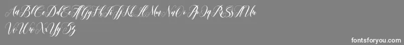 Шрифт leather – белые шрифты на сером фоне