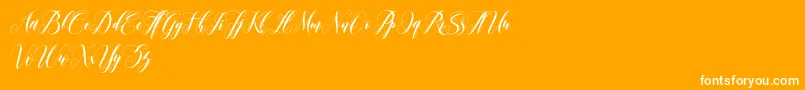 Fonte leather – fontes brancas em um fundo laranja