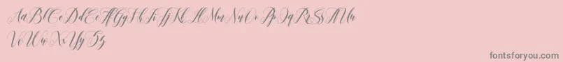 leather Font – Gray Fonts on Pink Background
