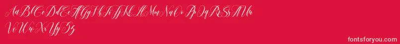leather-Schriftart – Rosa Schriften auf rotem Hintergrund
