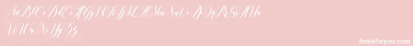leather Font – White Fonts on Pink Background