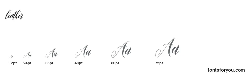 Leather (132379) Font Sizes