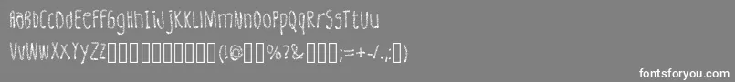 フォントLeatherFont Regular – 灰色の背景に白い文字
