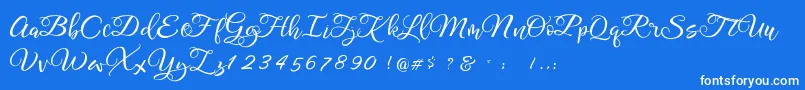 Legacy DEMO Font – White Fonts on Blue Background