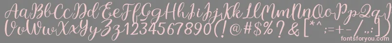 Legal Standing Font – Pink Fonts on Gray Background