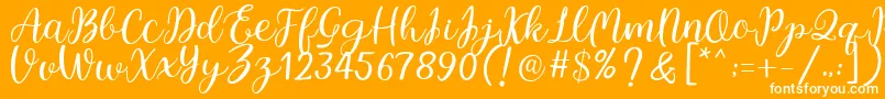 Legal Standing Font – White Fonts on Orange Background