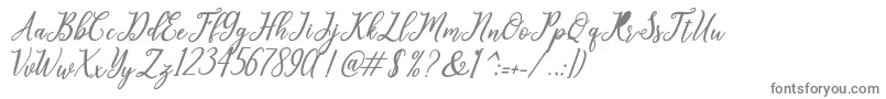 leighton-Schriftart – Graue Schriften auf weißem Hintergrund