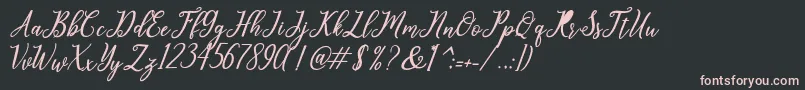 leighton Font – Pink Fonts on Black Background
