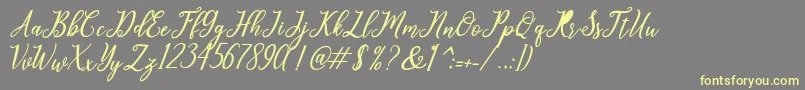 leighton Font – Yellow Fonts on Gray Background