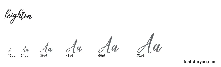 Leighton Font Sizes