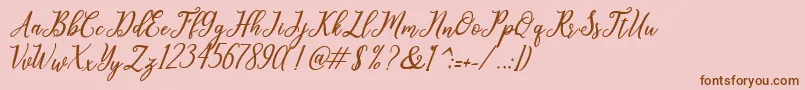 leighton Font – Brown Fonts on Pink Background