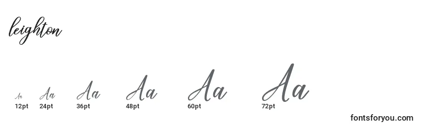 Leighton (132399) Font Sizes