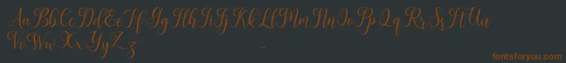 Leisha Font – Brown Fonts on Black Background
