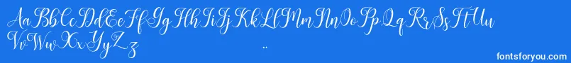 Leisha Font – White Fonts on Blue Background