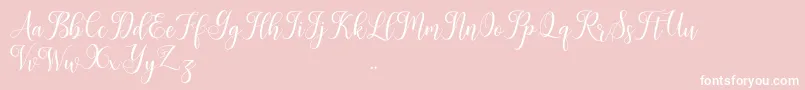 Leisha Font – White Fonts on Pink Background